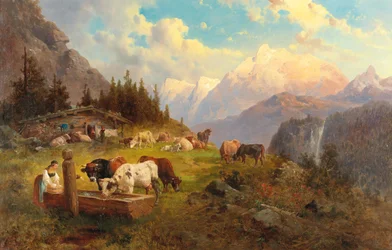 Dans le pâturage de montagne